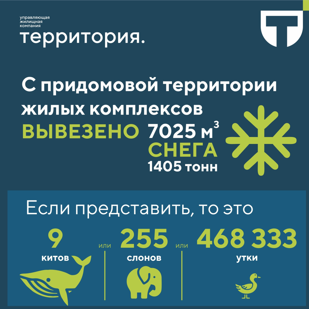 Инфографика (1).jpg