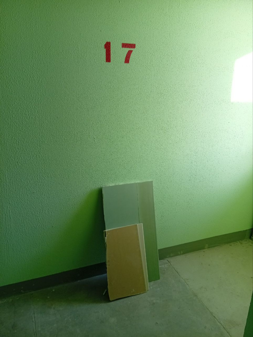 5431402895514933025.jpg
